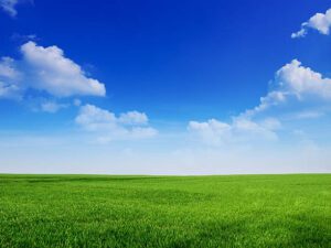 Peaceful blue sky and green grass great as background