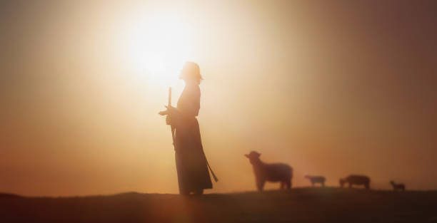 Shepherd Jesus Christ leading the sheep and praying to God and in the field bright sun light and Jesus bokeh silhouette background